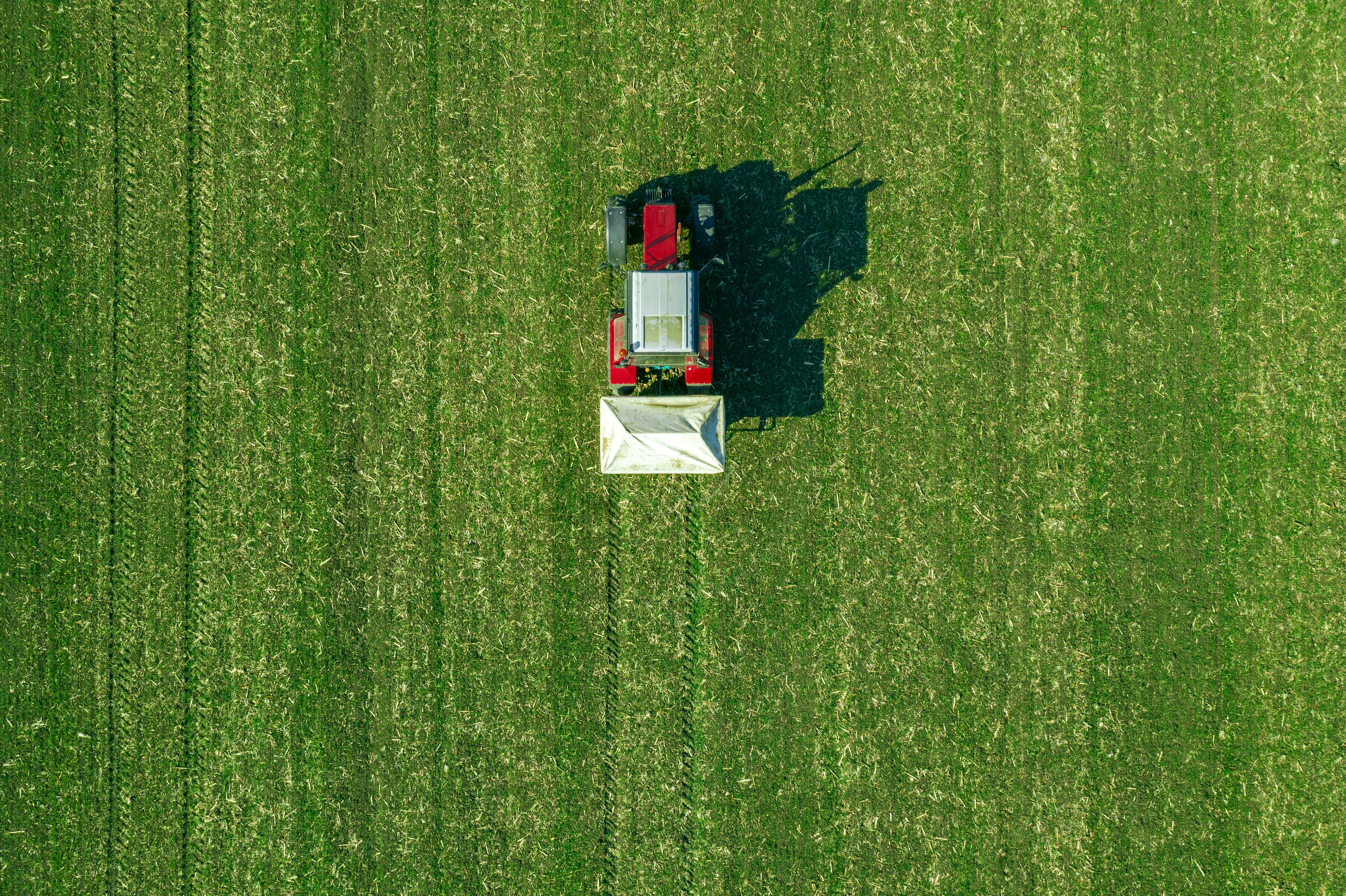 როგორ ავირჩიოთ ვენახის შესაწამლი აპარატი: გზამკვლევი ფერმერებისთვის