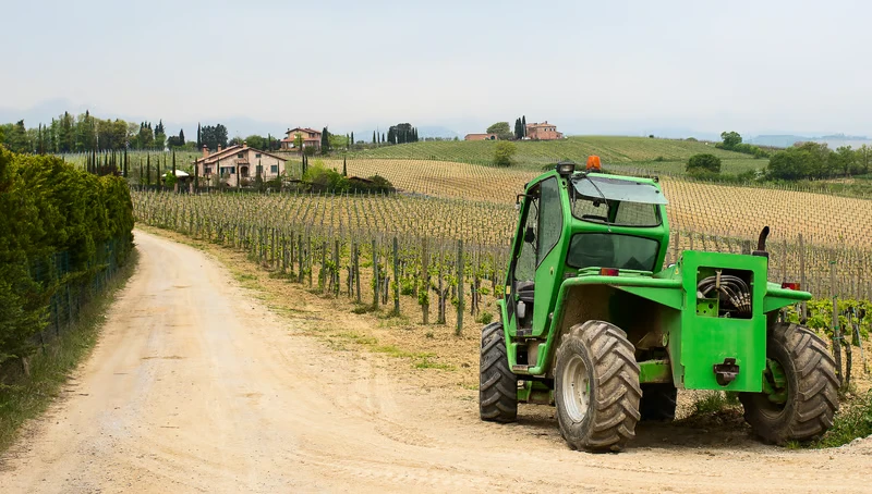 რა ღირს ვენახის საწამლი აპარატი? ფასები და შერჩევის კრიტერიუმები