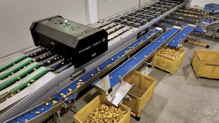 Post-Harvest & Processing