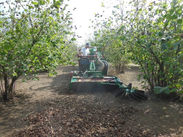 Facma selfpropelled harvester C380S - Gallery image 2