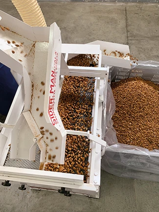 Cracking machines for almonds and huzelnuts - Gallery image 2