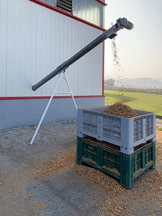 Cracking machines for almonds and huzelnuts - Gallery image 4