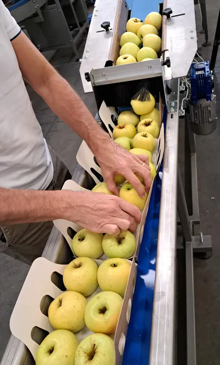 მუყაოს ყუთი